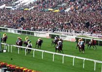 ɳ������