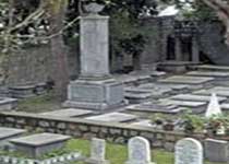 �����̹�Ĺ