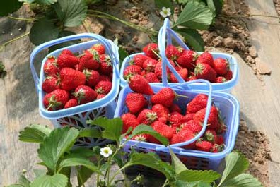 ��������̬԰