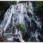 ���������Ⱦ���