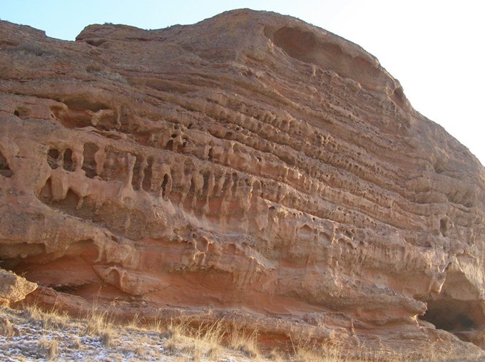 �����¿ڷ羰������