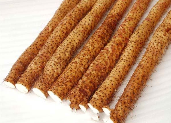 ������ɽҩ