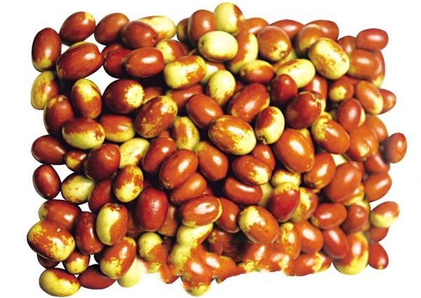 ���ǿ���