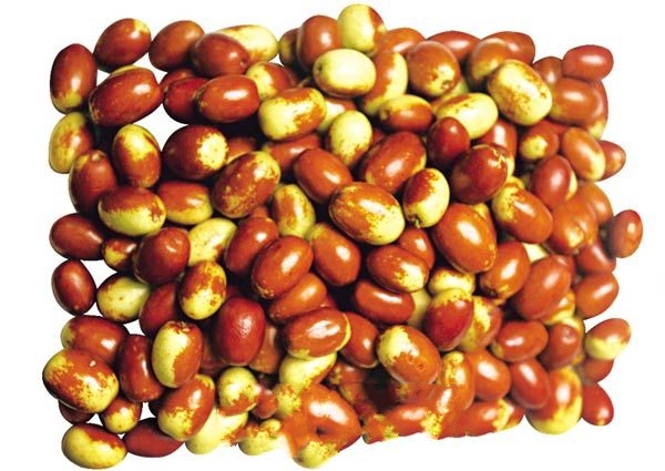 ����ľ��