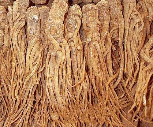 Ӧ����ҩ��