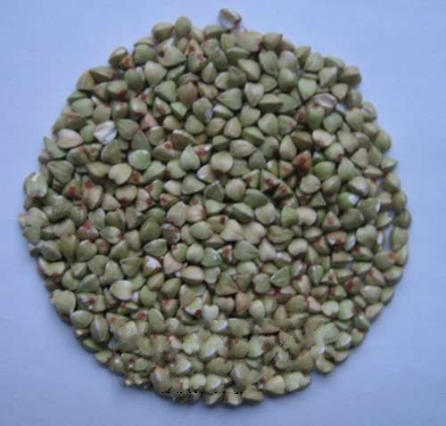 ɽ������