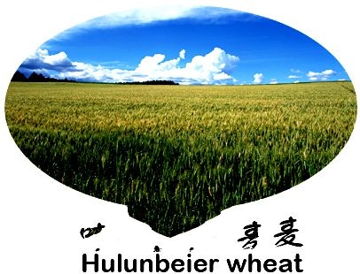 ���ױ���С��