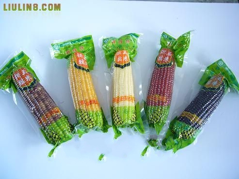 ������Ŵ����