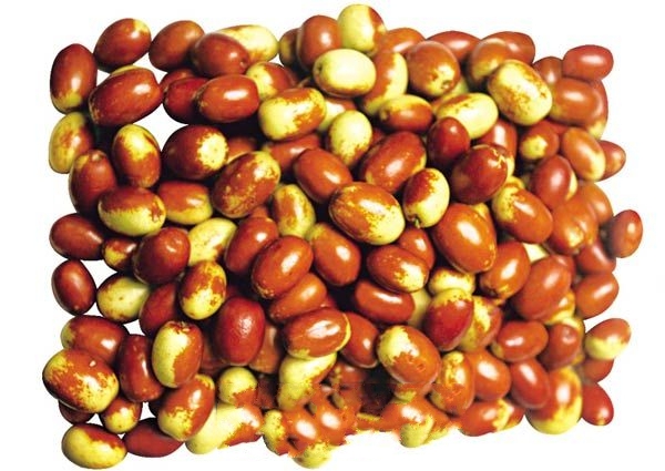 ������˹ɳ��