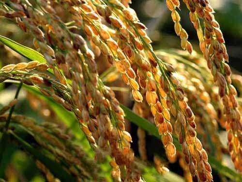 ���ʵ���