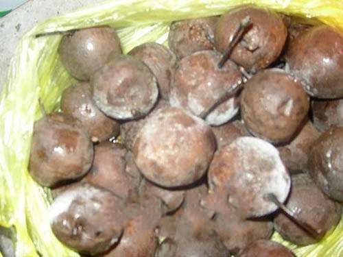 ��Ϫ����