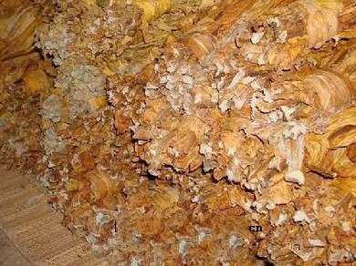 ��ˮ����