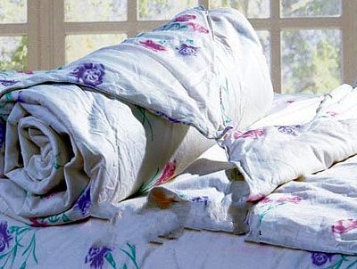 �����˿��