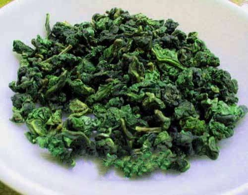 ��ͥ���ݴ���