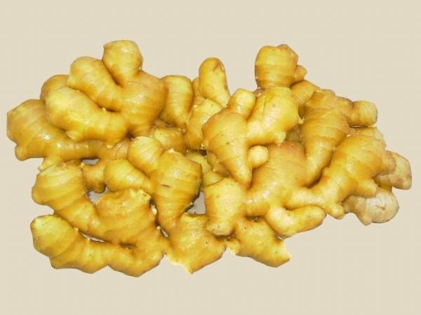 ���佴����