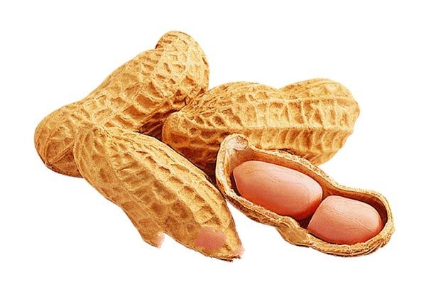 ���⼯������