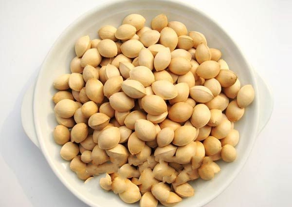 ����֮�硪����ƥ