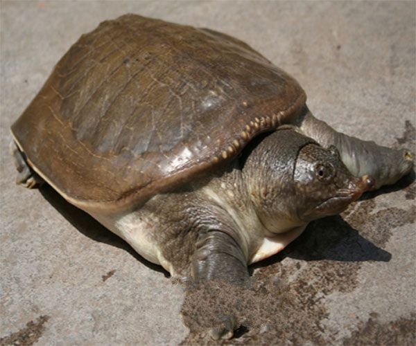 ���ռ���