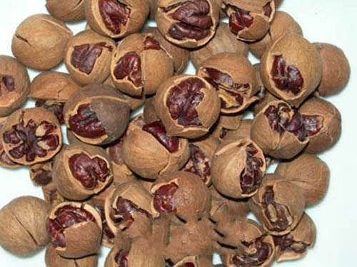 ����ɽ����