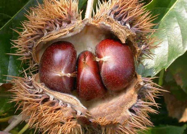 ���°���