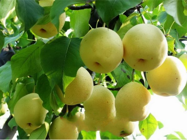 ���ݰ���