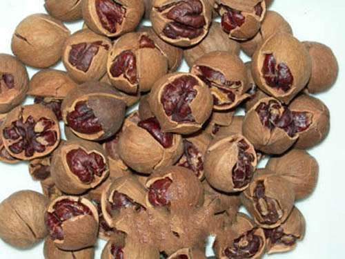 ����ɽ����