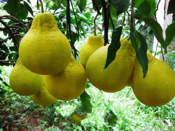 �����ļ���