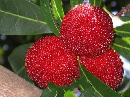 ������÷