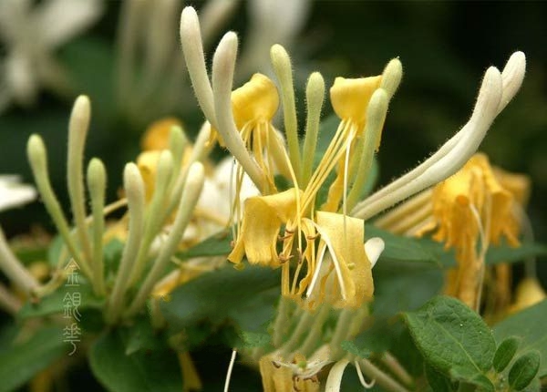 ���Ž�����