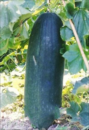 ���۶���