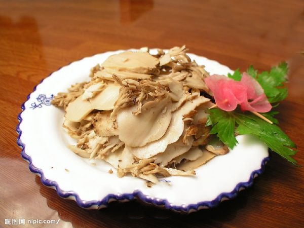 ��������צ