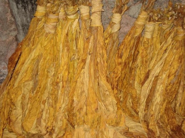 ����ɹ��