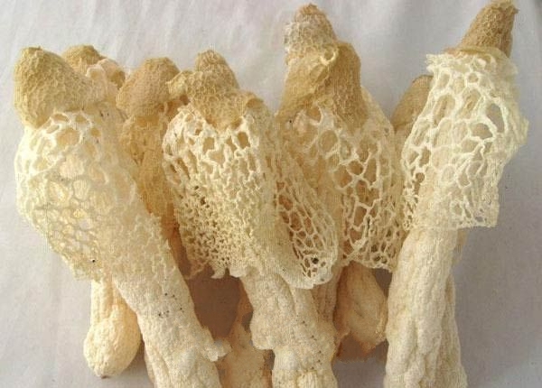 ������ݥ