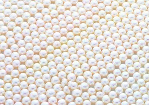 �׵�����