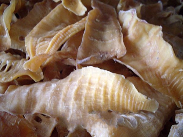 ������Ŀ���