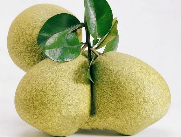 �����ĵ�