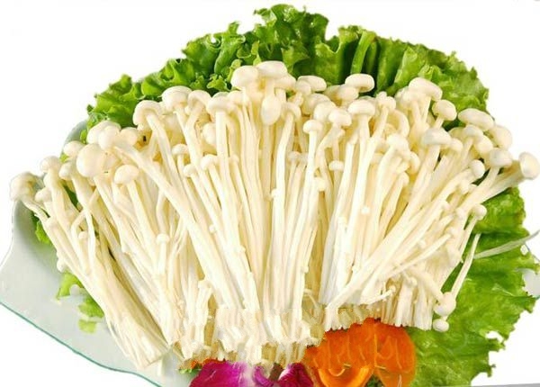 �������빽