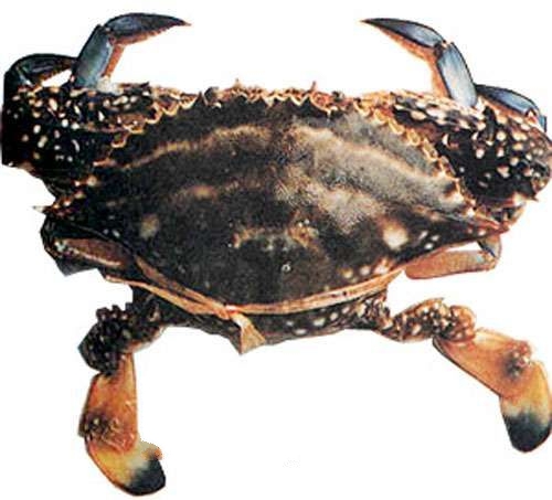 ��ɽ��������з