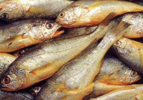 ��ɽ�����