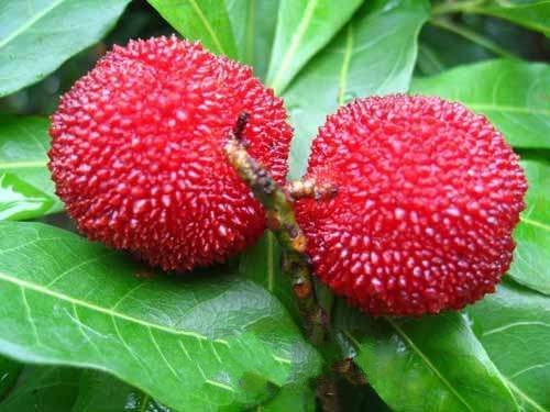 ��й������÷