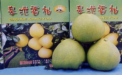 ��й����