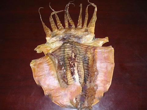 ����ī��