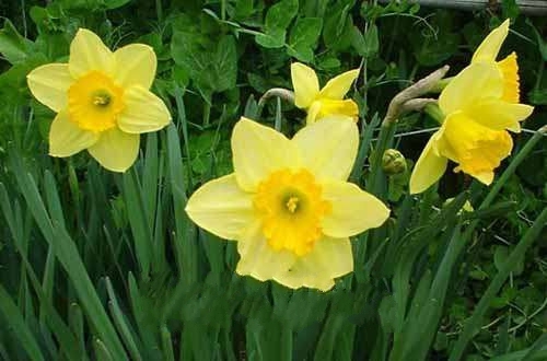 ����ˮ�ɻ�