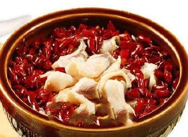 ������Ƭ