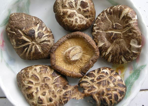 ���ɽ����