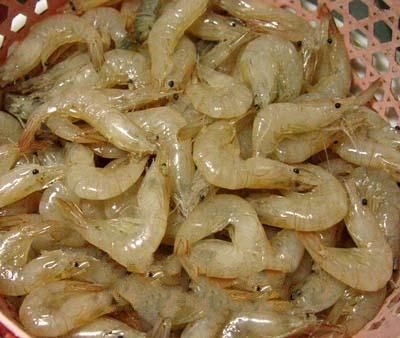 ������Ϻ