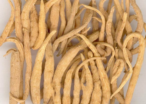 ������̫�Ӳ�