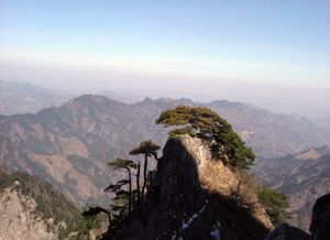 �������ɽ