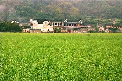 ����ʯ��ͷ�Ŵ���