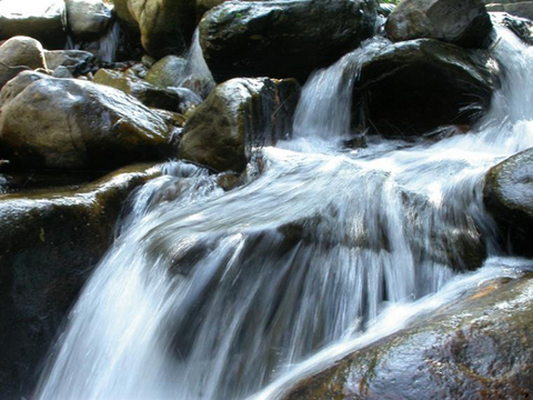 ������Ȫ